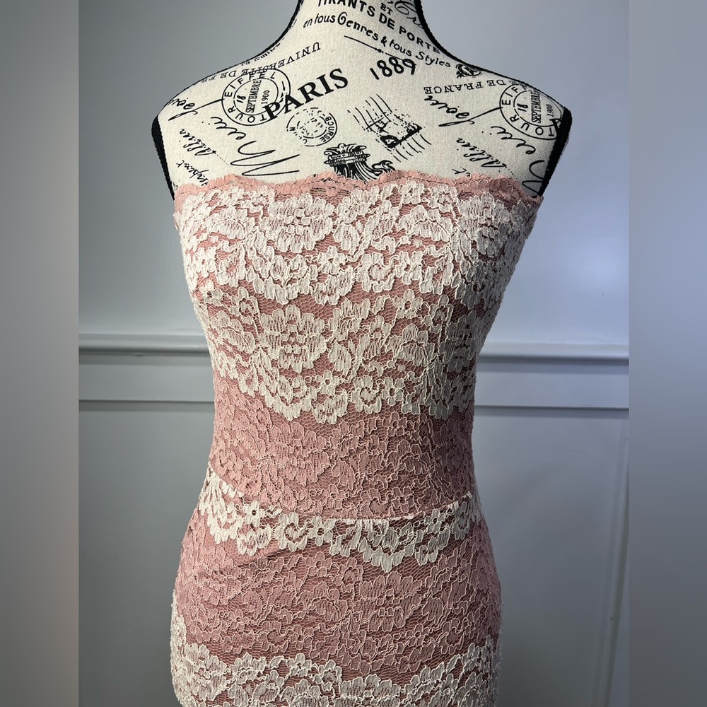 GUESS Allie NWT pale pink & beige lace stretch tube dress. Size Small